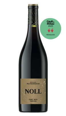 2022er Pinot Noir trocken Lagenwein trocken